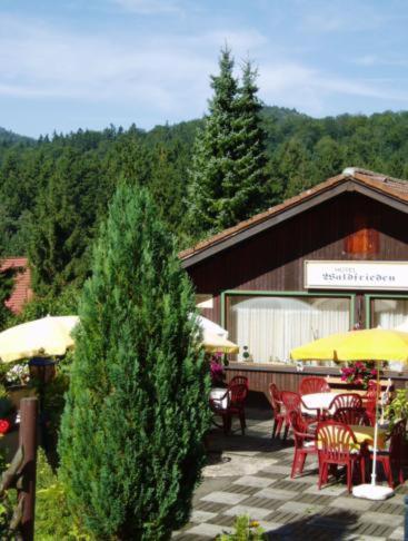 Ferienhotel Waldfrieden Bad Sachsa Kültér fotó